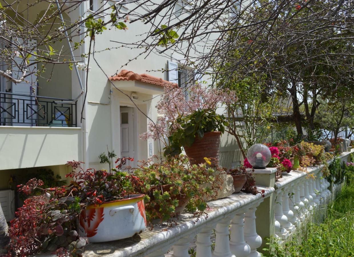 Araucaria Home Lixouri Esterno foto